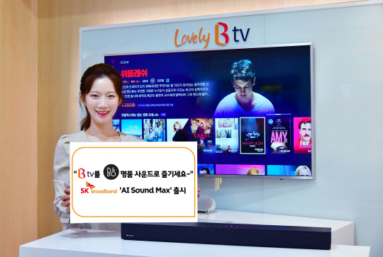 SK브로드밴드 제공